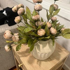 (8) Ashland Tan Peony stems from Michaels